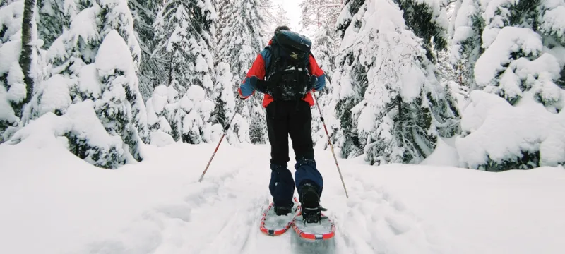 Snowshoeing